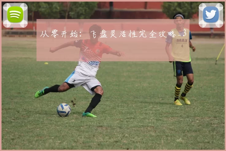 从零开始：飞盘灵活性完全攻略_3