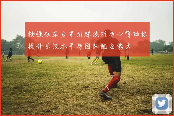 杨强独家分享排球技巧与心得助你提升竞技水平与团队配合能力