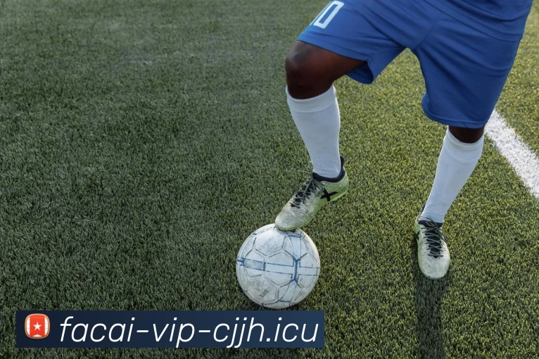 乐鱼体育注册APP 封面图